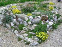 Локальный каменистый сад - рокарий